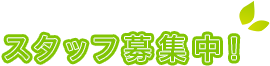 スタッフ募集中！